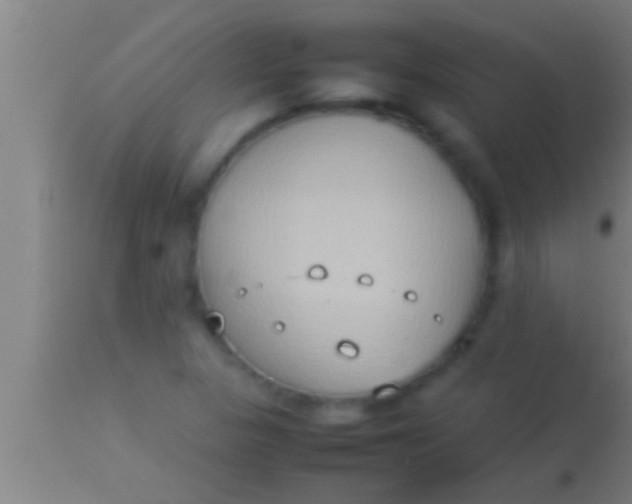 X0000113931313200910161841