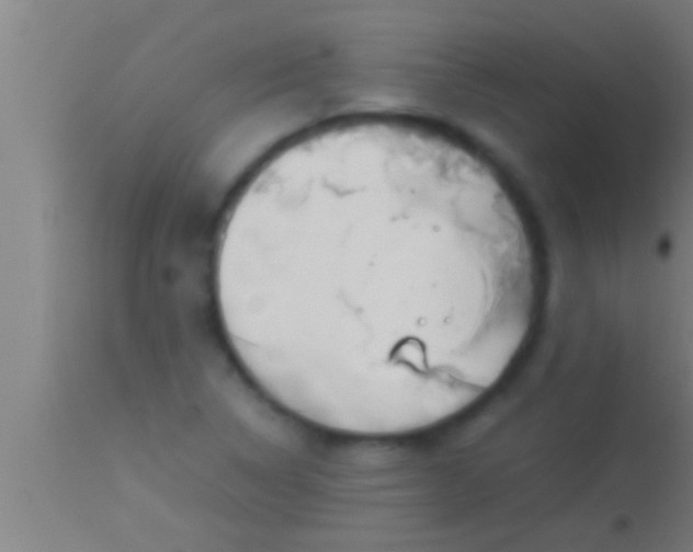 X0000113931314200910161841