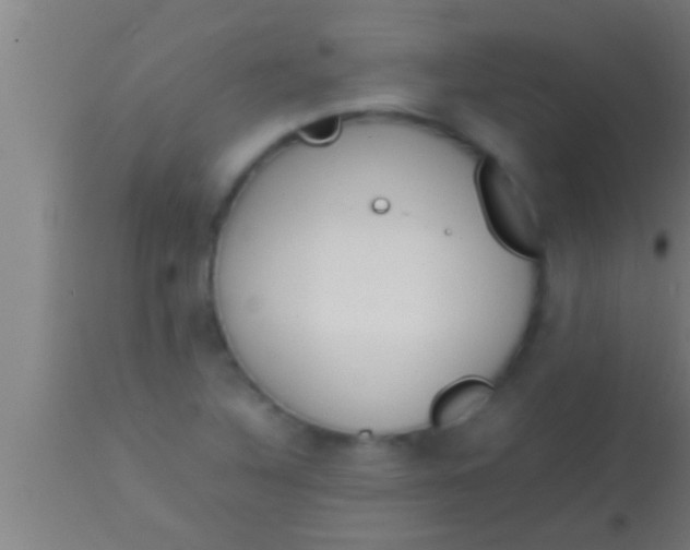 X0000113931316200910161841