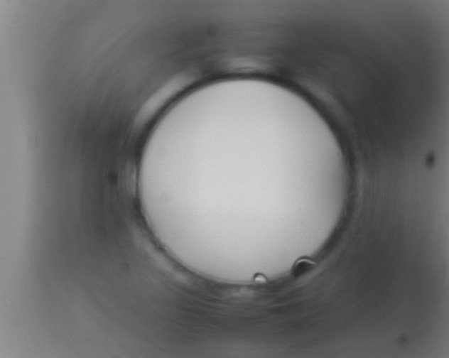 X0000113931317200910161841