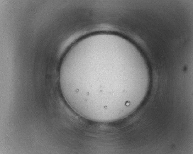 X0000113931318200910161841