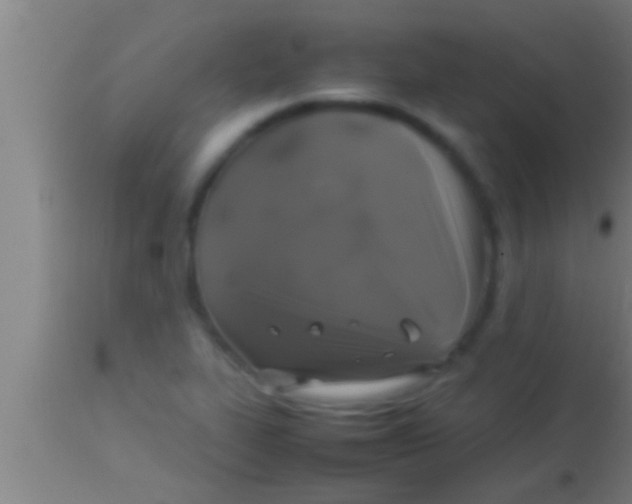 X0000113931319200910161841