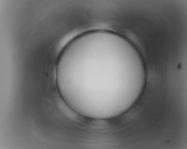 X0000113931320200910161841