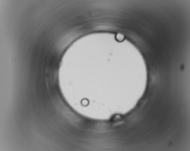 X0000113931322200910161841