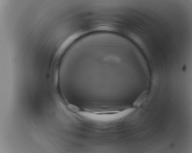 X0000113931323200910161841