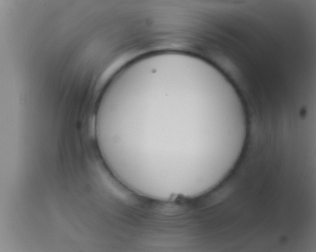 X0000113931324200910161841