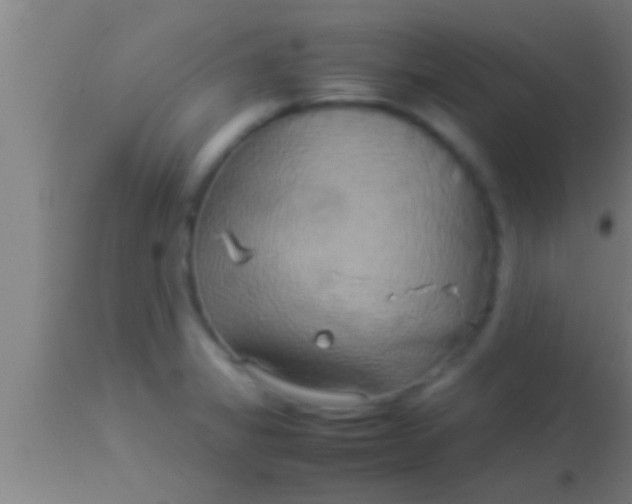 X0000113931325200910161841