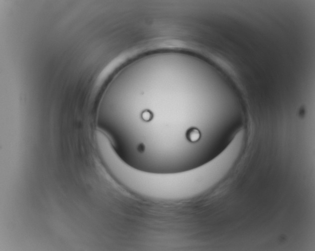 X0000113931326200910161841