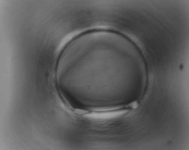 X0000113931327200910161841