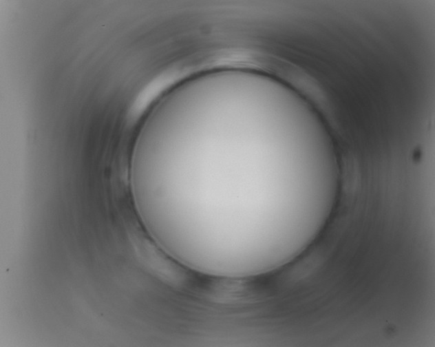 X0000113931328200910161841