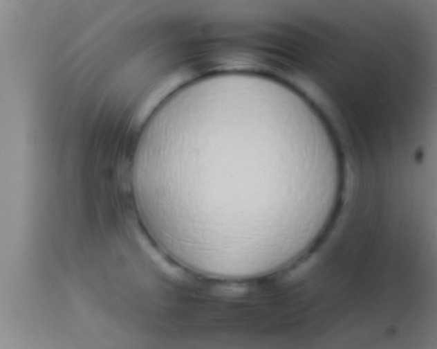 X0000113931329200910161841