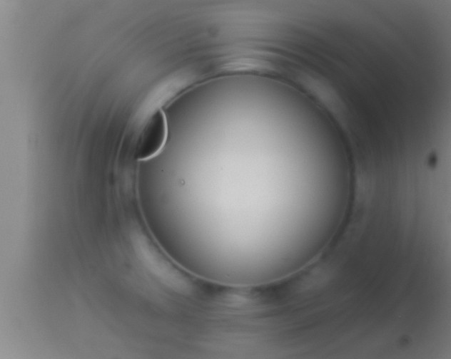 X0000113931330200910161841