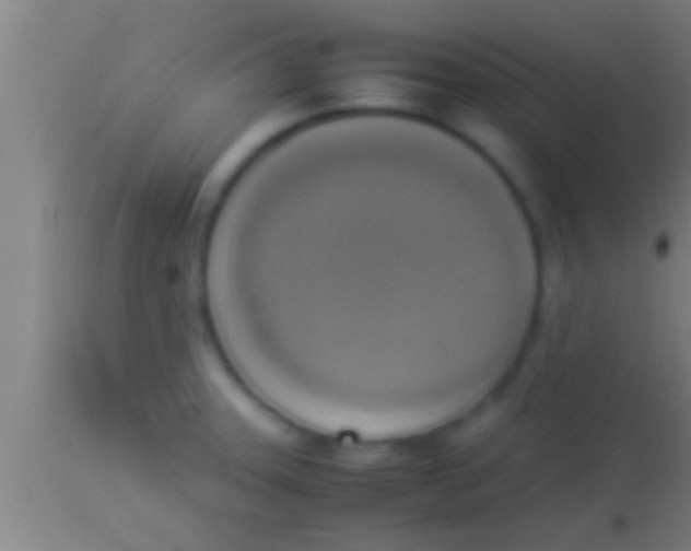 X0000113931331200910161841