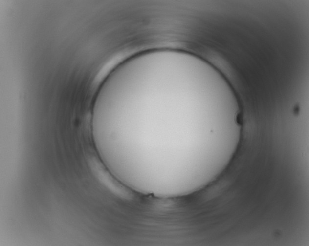 X0000113931332200910161841