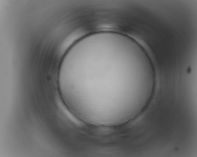 X0000113931333200910161841