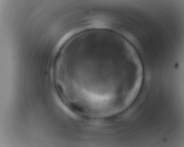 X0000113931334200910161841