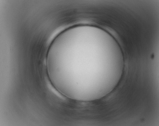 X0000113931335200910161841