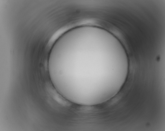 X0000113931336200910161841