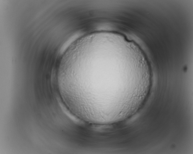 X0000113931337200910161841