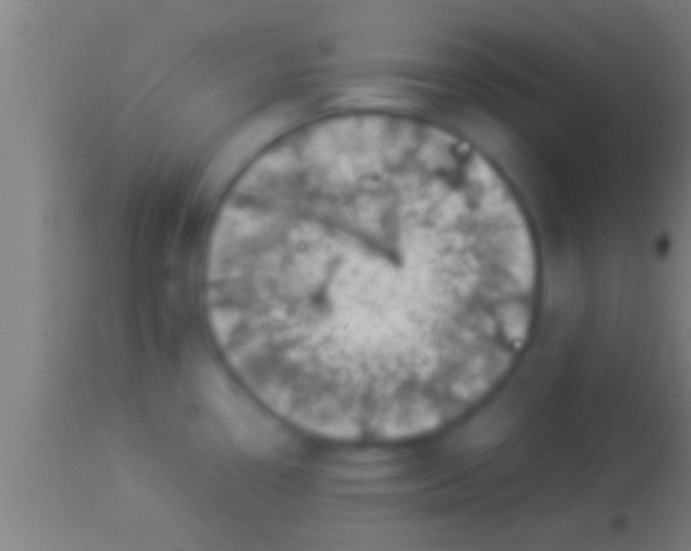 X0000113931338200910161841