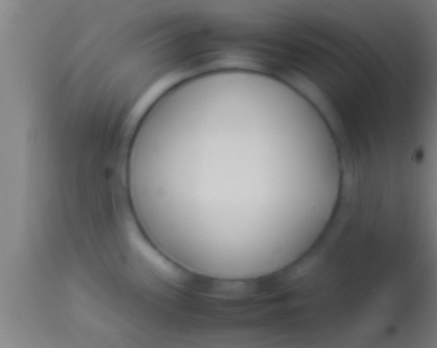 X0000113931339200910161841