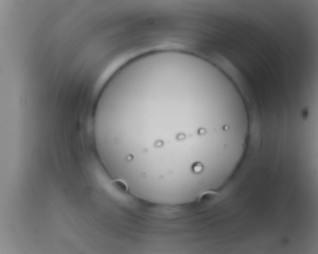 X0000113931340200910161841