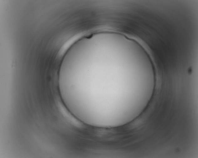 X0000113931341200910161841