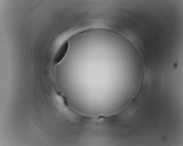 X0000113931342200910161841