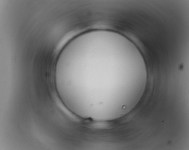 X0000113931343200910161841