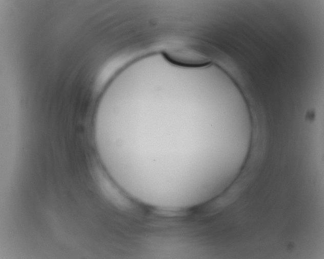 X0000113931344200910161841