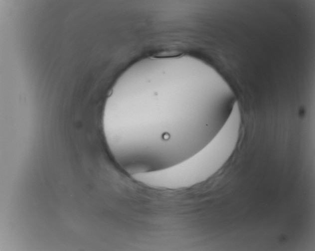 X0000113931345200910161841