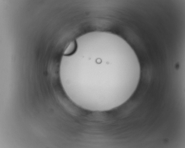 X0000113931346200910161840