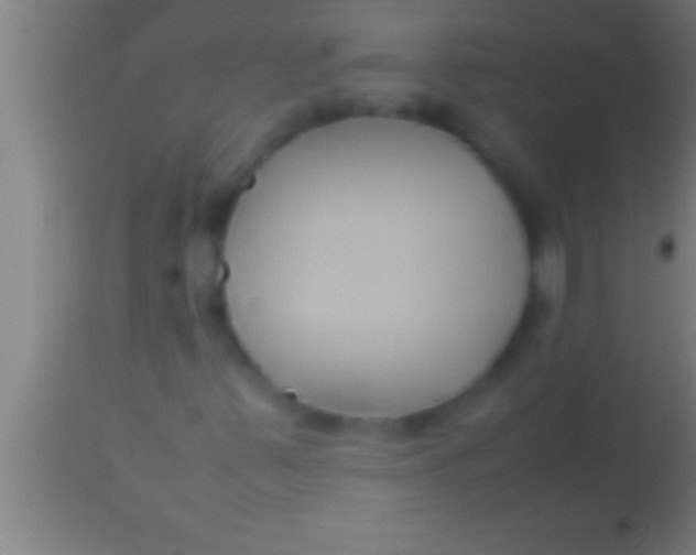 X0000113931347200910161840