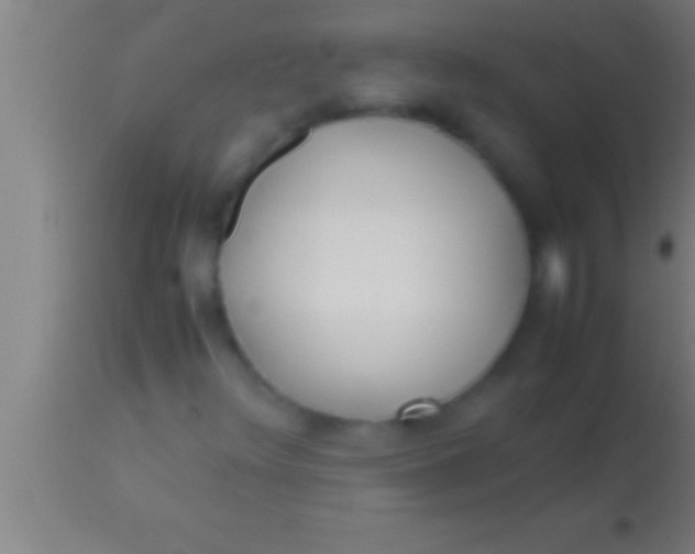 X0000113931348200910161840