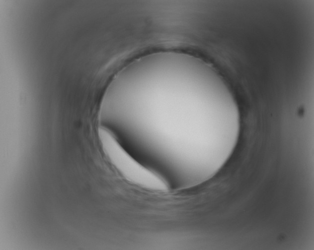 X0000113931349200910161840