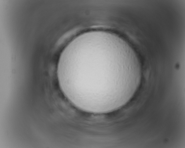 X0000113931351200910161840