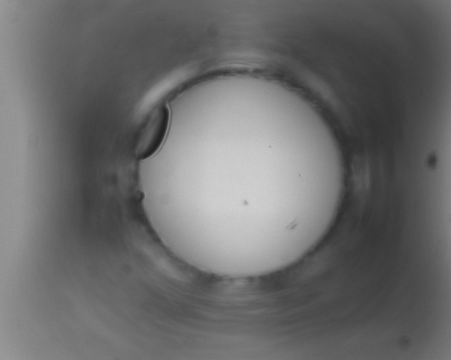 X0000113931352200910161840