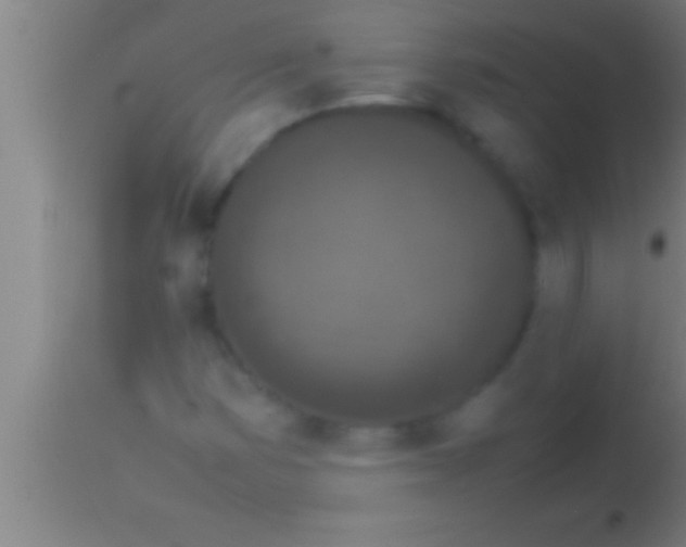 X0000113931353200910161840