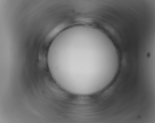 X0000113931354200910161840