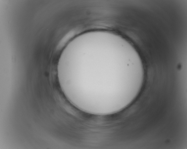 X0000113931355200910161840