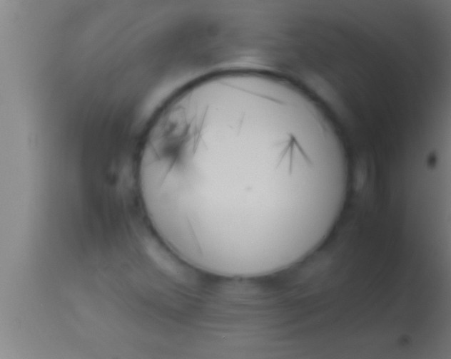 X0000113931356200910161840