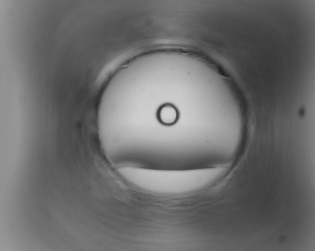 X0000113931357200910161840