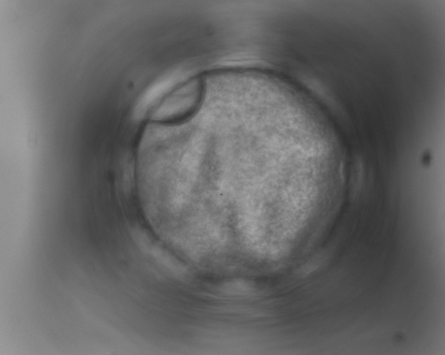 X0000113931358200910161840