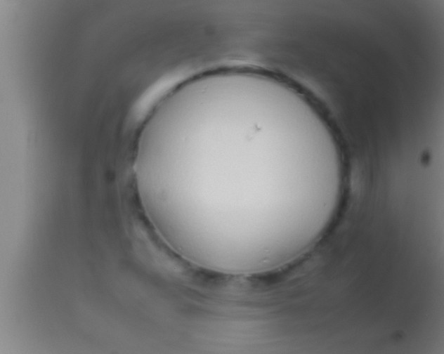 X0000113931359200910161840