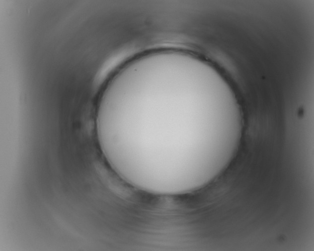 X0000113931360200910161840