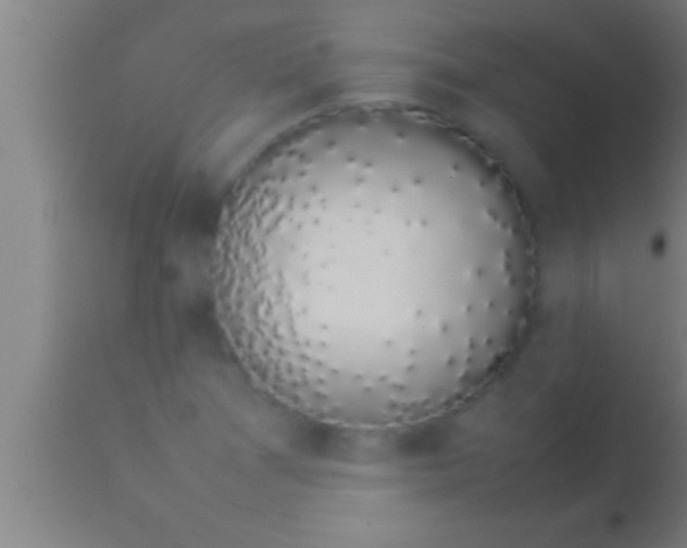 X0000113931361200910161840