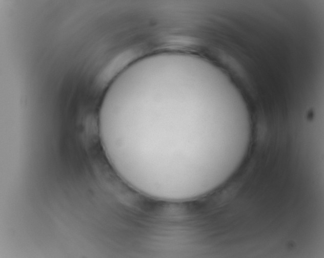 X0000113931362200910161840