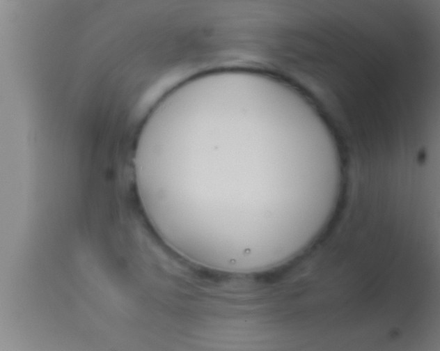 X0000113931363200910161840