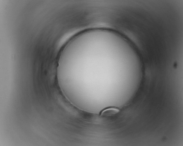 X0000113931364200910161840