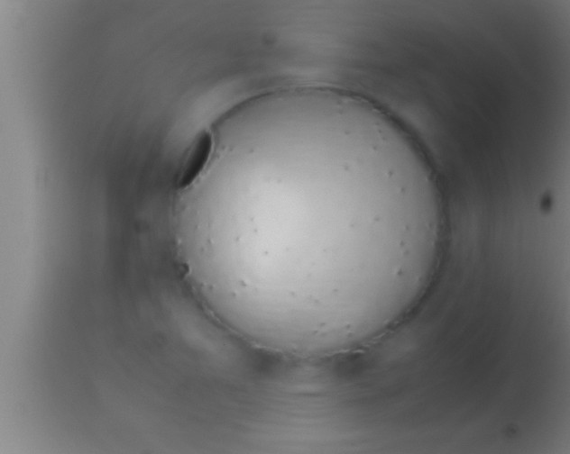 X0000113931365200910161840